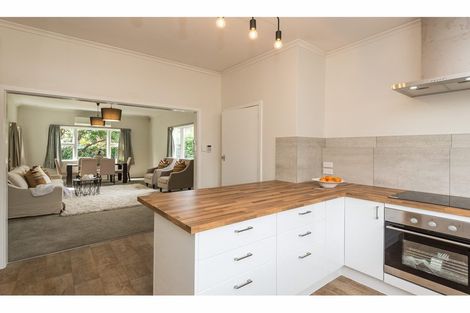 Photo of property in 170 Petrie Street, Richmond, Christchurch, 8013