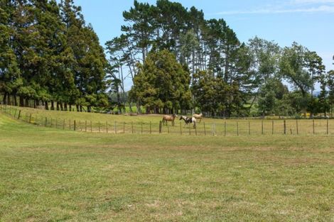 Photo of property in 199 Glenbrook Waiuku Road, Glenbrook, 2681