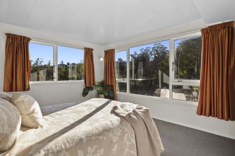 Photo of property in 4 Heath Street, Andersons Bay, Dunedin, 9013
