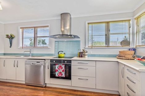 Photo of property in 21 Larsen Road, Panmure, Auckland, 1072