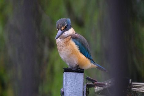 Photo of property in 63 Waiewe Street, Whakatane, 3120