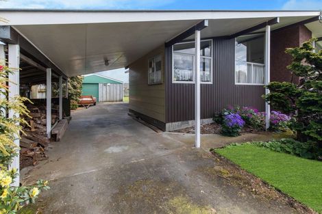 Photo of property in 96 Stortford Street, Ashhurst, 4810