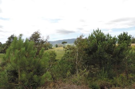 Photo of property in 69 Davidson Road, Te Poi, Matamata, 3473