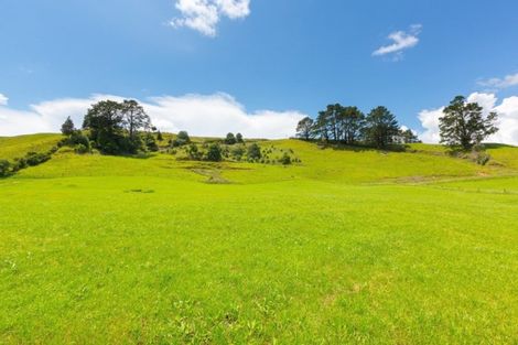 Photo of property in 37 Allan Road, Burgess Park, New Plymouth, 4371