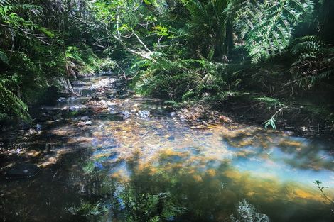 Photo of property in 89 Bethells Road, Waitakere, Auckland, 0782