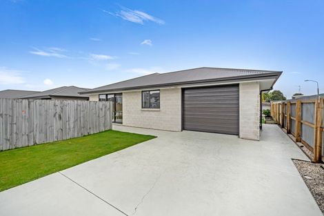 Photo of property in 30 Willow Street, Hampstead, Ashburton, 7700