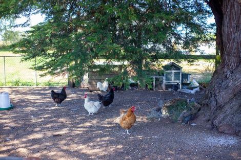 Photo of property in 664 Brunswick Road, Brunswick, Whanganui, 4571