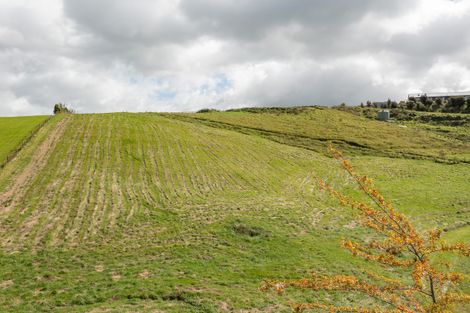 Photo of property in 392a Black Rock Road, Te Ore Ore, Masterton, 5886