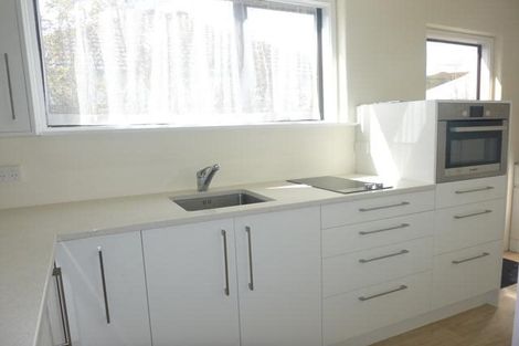 Photo of property in 99a Pretoria Street, Hutt Central, Lower Hutt, 5010