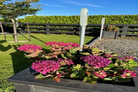 Photo of property in 9 Brown Road, Brixton, Waitara, 4382