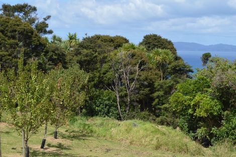 Photo of property in 3 Puriri Place, Tuateawa, Coromandel, 3583