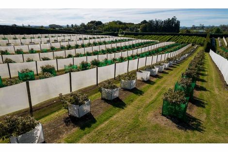 Photo of property in 581 Kerikeri Road, Kerikeri, 0293