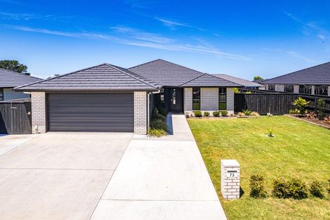 Photo of property in 73 Tawhero Street, Gonville, Whanganui, 4501