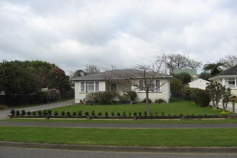Photo of property in 103 Kawiu Road, Levin, 5510