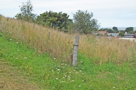Photo of property in 17 Chelmer Street, Oamaru, 9400