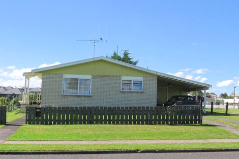 Photo of property in 16 Barnett Street, Putaruru, 3411