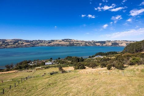 Photo of property in 61 Kakapo Street, Saint Leonards, Dunedin, 9022