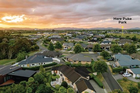 Photo of property in 10 Everleigh Court, Flagstaff, Hamilton, 3210