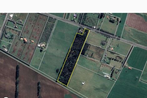 Photo of property in 270 Motuiti Road, Foxton, 4891