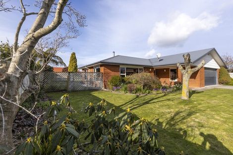 Photo of property in 16 Westhaven Place, Redwoodtown, Blenheim, 7201
