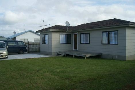 Photo of property in 46 Barneys Farm Road, Clendon Park, Auckland, 2103