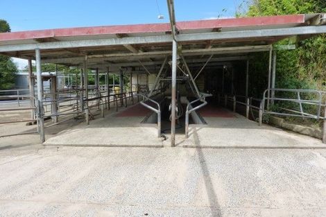 Photo of property in 399 Waotu South Road, Waotu, Putaruru, 3481