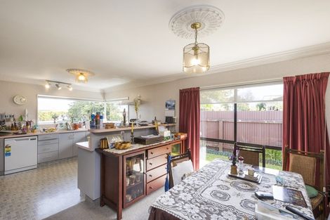 Photo of property in 373a Ruahine Street, Terrace End, Palmerston North, 4410
