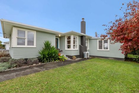 Photo of property in 27 Ferguson Street, Levin, 5510
