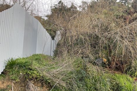 Photo of property in 141 Renown Road, Waikokowai, Huntly, 3771