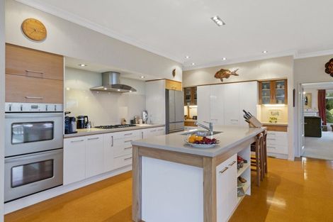 Photo of property in 21 Grace James Road, Pukekohe, 2120