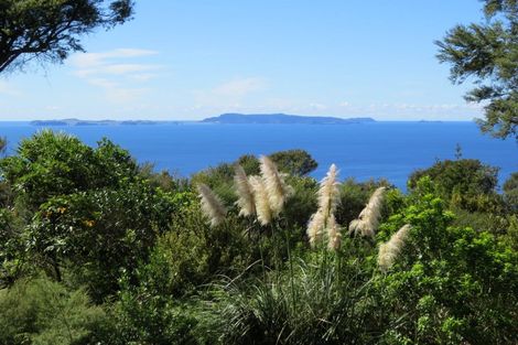 Photo of property in 537d Tuateawa Road, Tuateawa, Coromandel, 3583