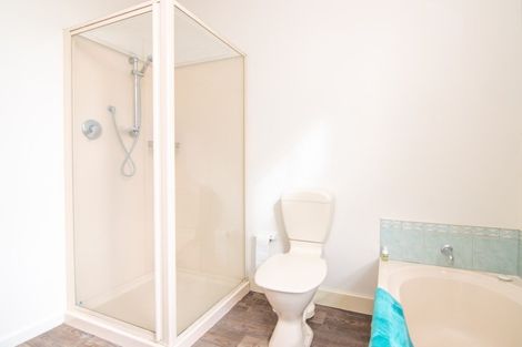 Photo of property in 58 Lincoln Street, Ashhurst, 4810