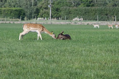 Photo of property in 18 Meadowlinks Lane, Pleasant Point, 7974