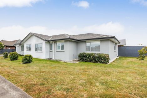 Photo of property in 3 Accolade Street, Feilding, 4702