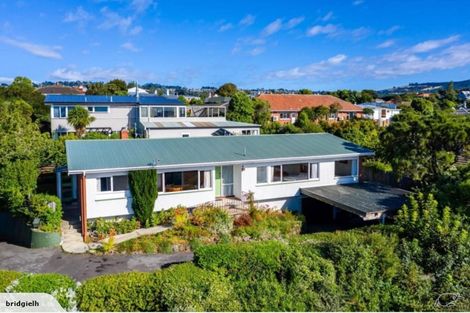 Photo of property in 53 Mailer Street, Mornington, Dunedin, 9011
