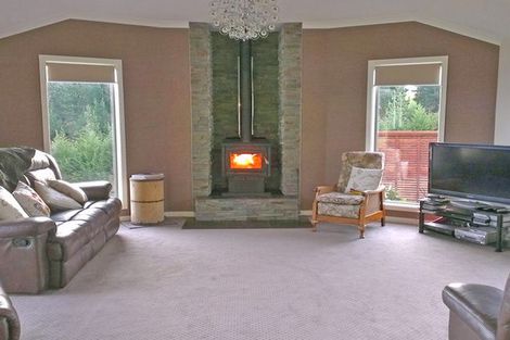 Photo of property in 161 Sunflower Road, Balclutha, 9274