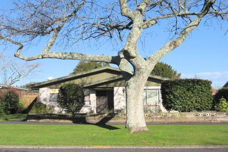 Photo of property in 148 Albert Street, Hamilton East, Hamilton, 3216