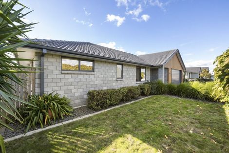 Photo of property in 61 Hastings Road, Pyes Pa, Tauranga, 3112