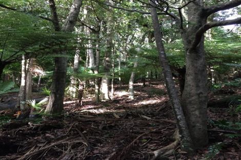 Photo of property in 16 Waikarekare Lane, Karekare, Auckland, 0772