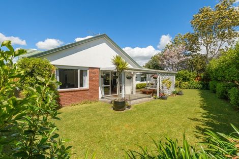 Photo of property in 44 Pelorus Street, Welcome Bay, Tauranga, 3112