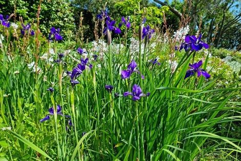 Photo of property in 84 Parkes Avenue, Saint Johns Hill, Whanganui, 4501