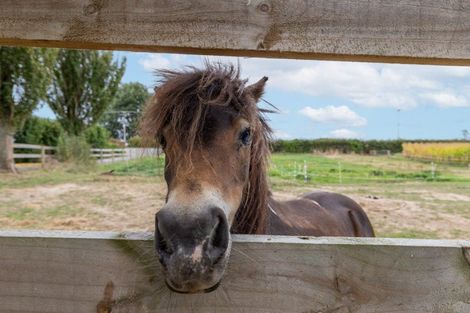 Photo of property in 395 Kiwitahi Railway Road, Morrinsville, 3371