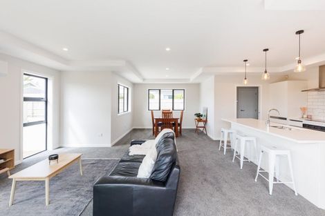 Photo of property in 13a Saxton Street, Levin, 5510