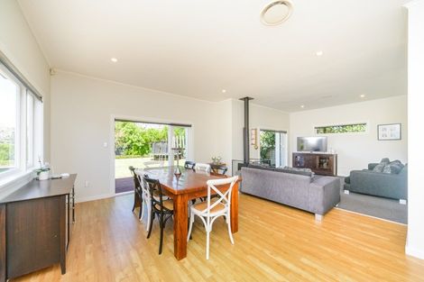 Photo of property in 20 Knowles Street, Terrace End, Palmerston North, 4410