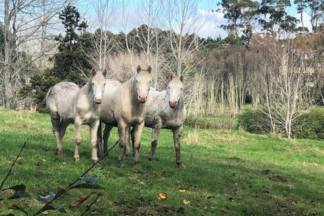 Photo of property in 921 Horseshoe Bush Road, Waitoki, Kaukapakapa, 0871