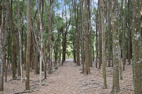 Photo of property in 1120d Waiuku Road, Waiuku, 2681