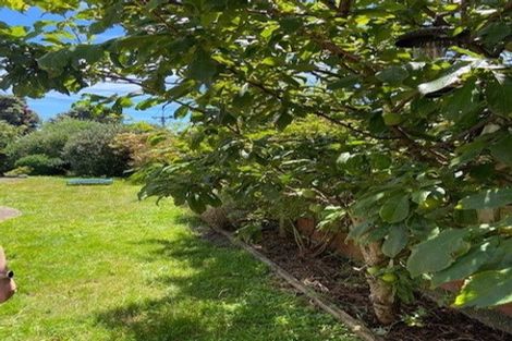 Photo of property in 28 The Quadrant, Miramar, Wellington, 6022