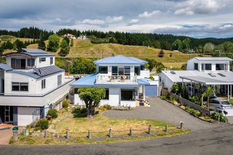 Photo of property in 256 Whirinaki Road, Eskdale, Napier, 4182