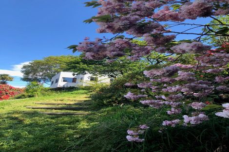 Photo of property in 44 Manchester Street, Bradford, Dunedin, 9011