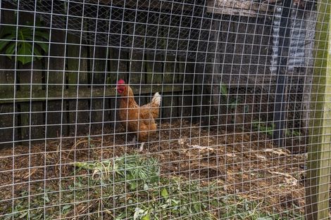 Photo of property in 576 State Highway 14, Maunu, Whangarei, 0179